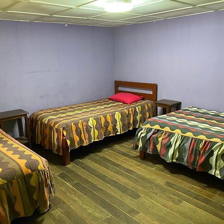 بيت شباب Aventura Chachapoyas Backpackers المظهر الخارجي الصورة