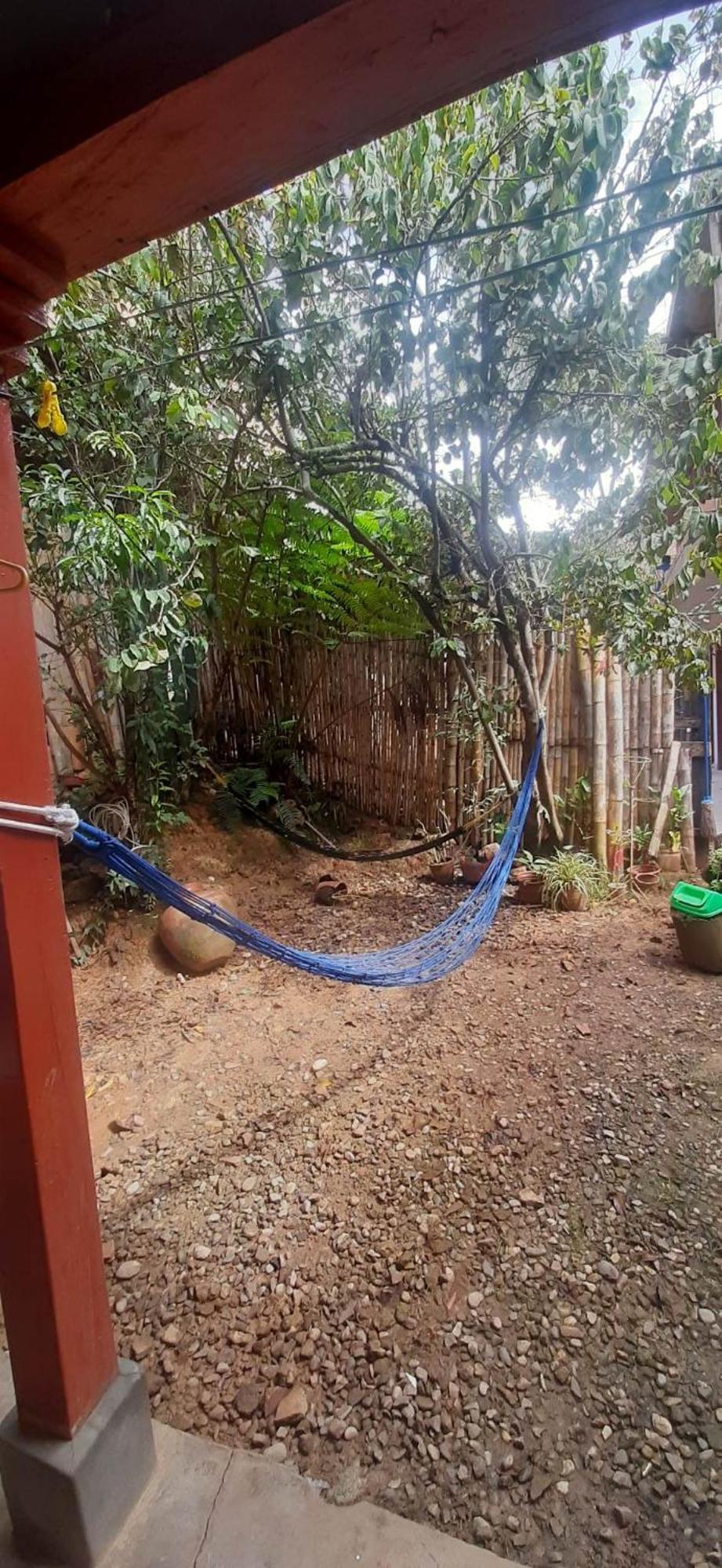 بيت شباب Aventura Chachapoyas Backpackers المظهر الخارجي الصورة