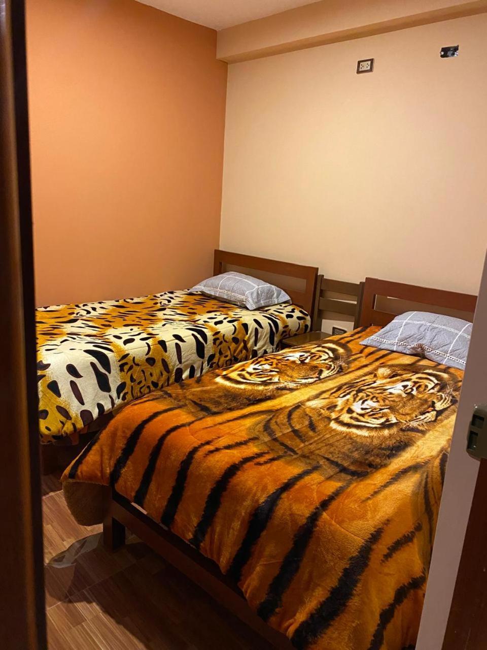بيت شباب Aventura Chachapoyas Backpackers المظهر الخارجي الصورة
