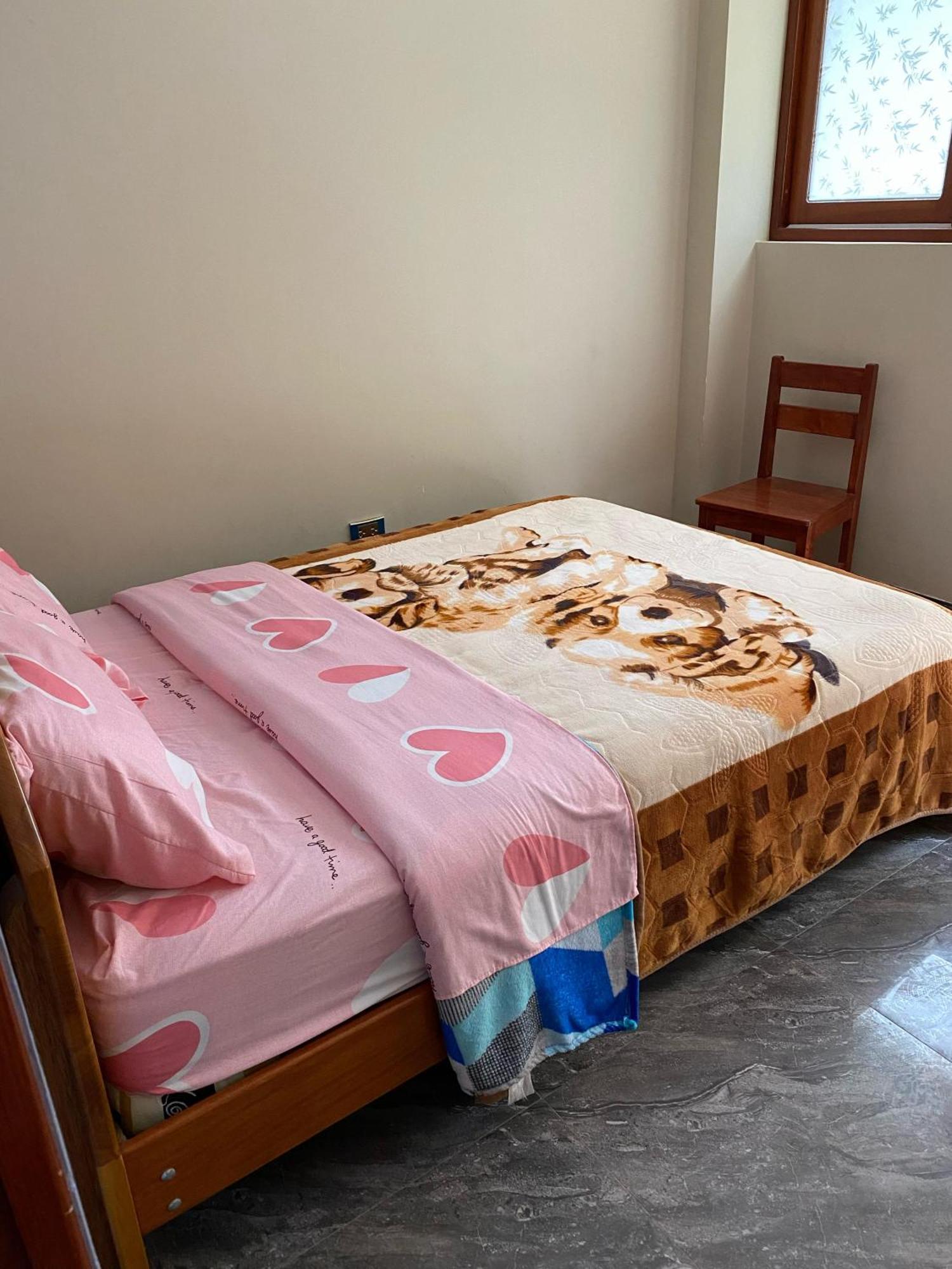 بيت شباب Aventura Chachapoyas Backpackers المظهر الخارجي الصورة